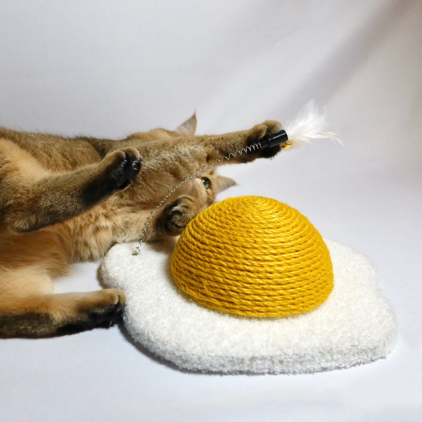 Egg Scratcher with Sisal Egg Yolk