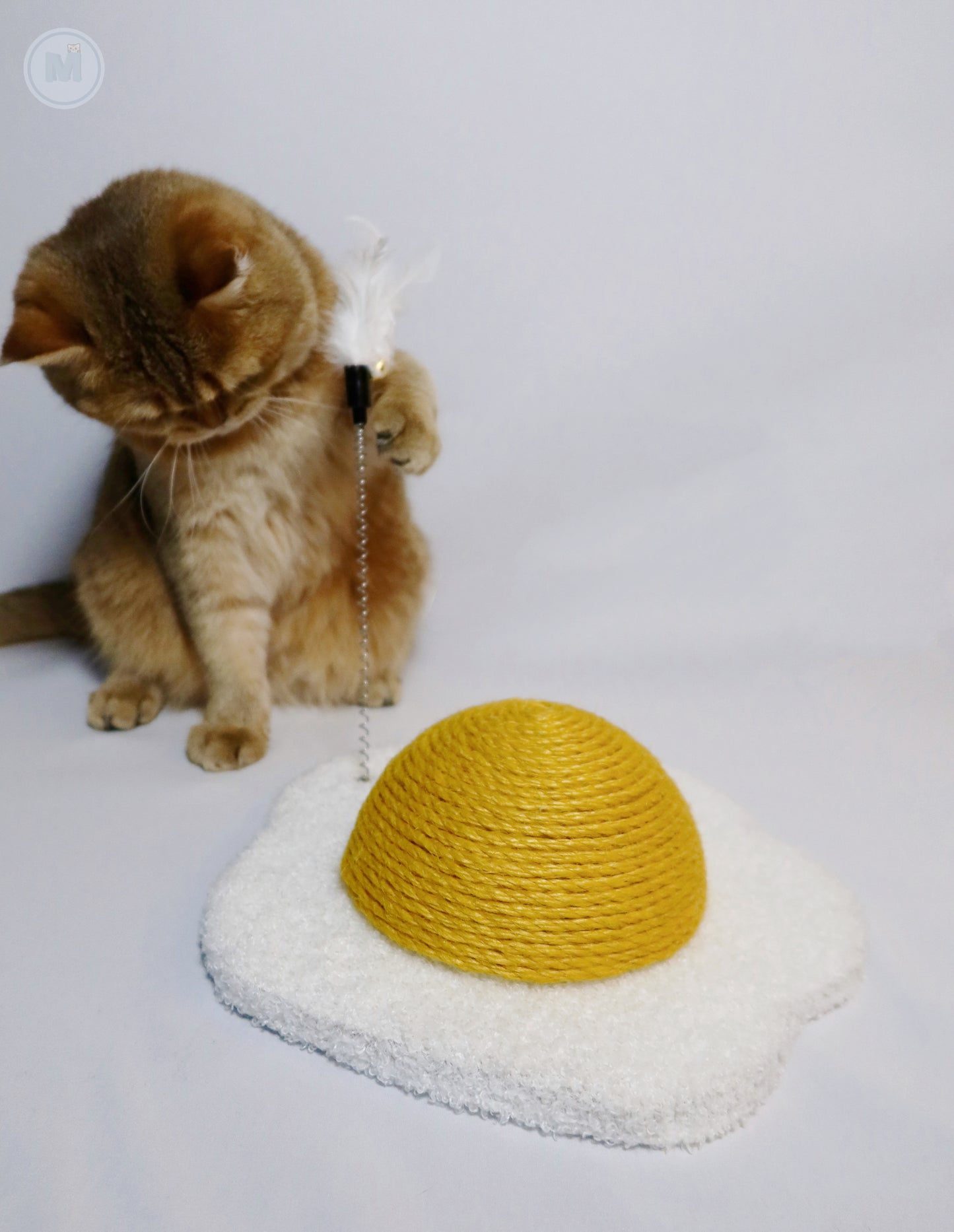 Egg Scratcher with Sisal Egg Yolk
