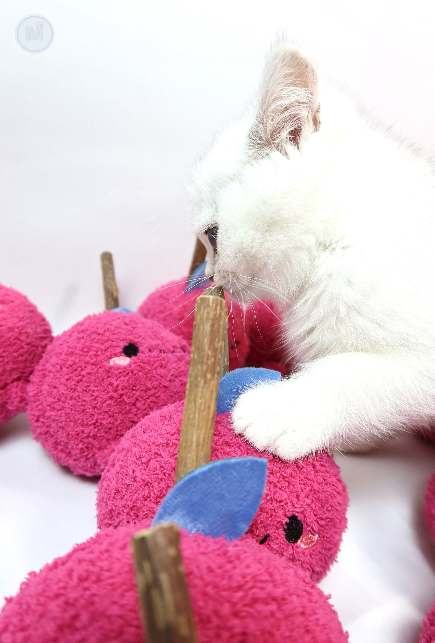 Cute Silvervine Fruit-Shaped Cat Toy, Catnip Alternative