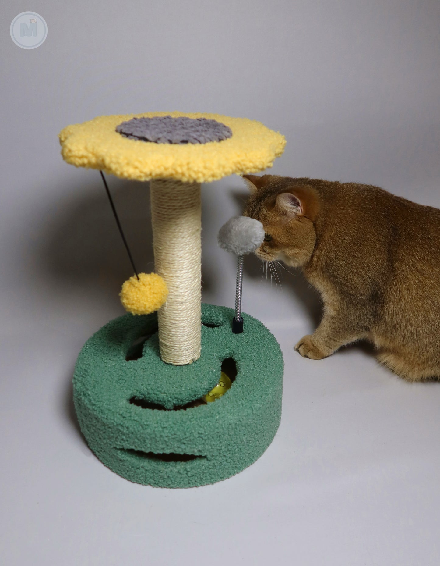 Sunflower Scratching Post
