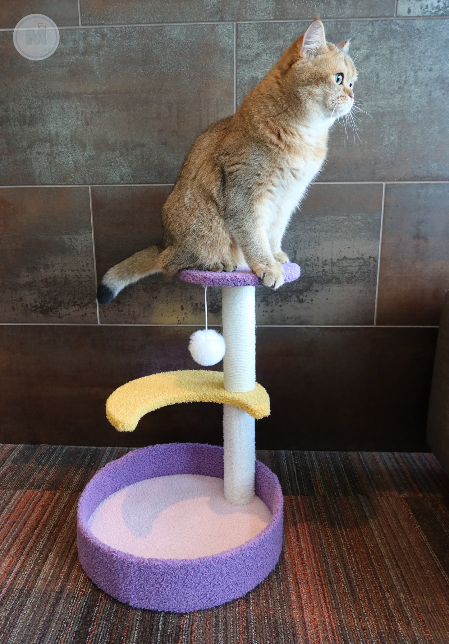 Moonlight Scratching Post, Night Sky Theme Cat Scratcher