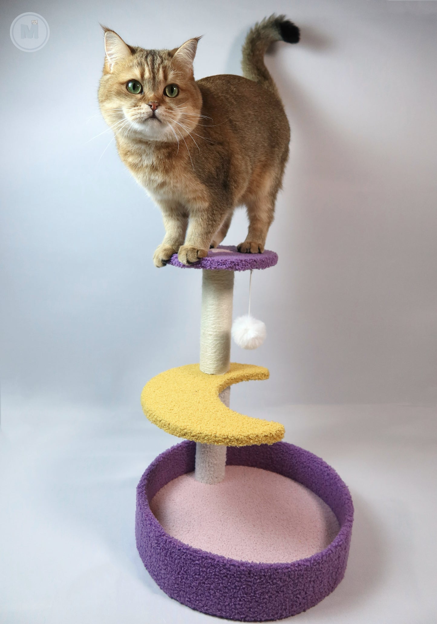 Moonlight Scratching Post, Night Sky Theme Cat Scratcher