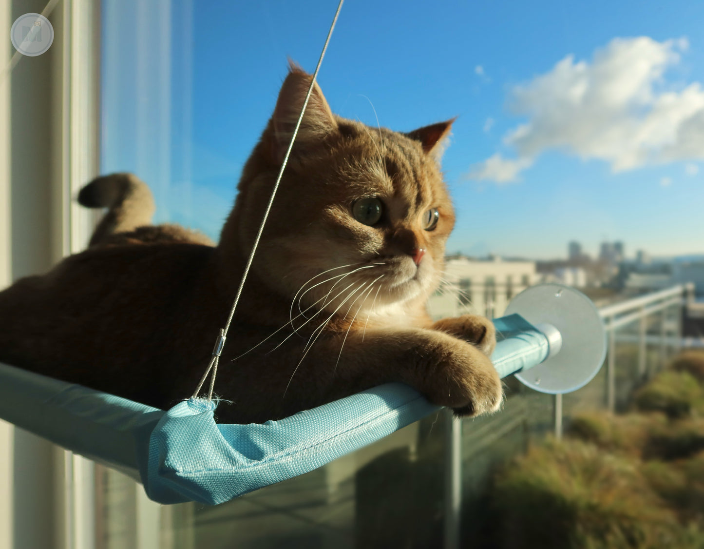 Window Perch Cat Hammock