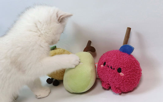 Some Information on Catnip and Some Alternatives