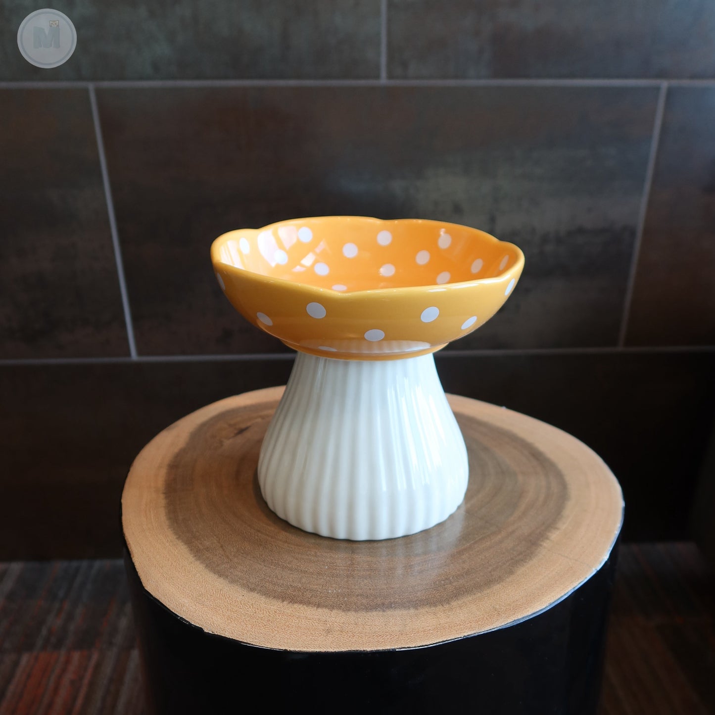 Elevated Mushroom Cat Bowl