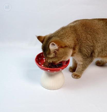 Elevated Mushroom Cat Bowl